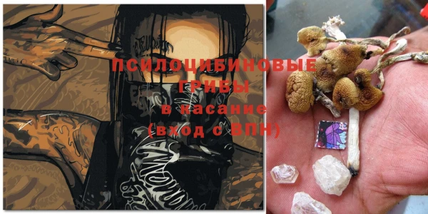 мет Богданович