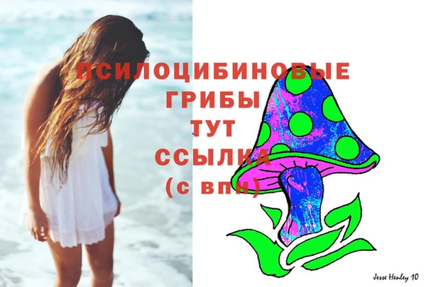 mix Богородск