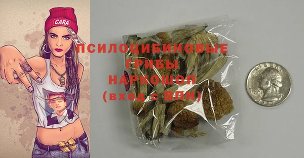 mix Богородск