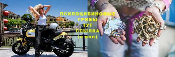 первитин Богородицк