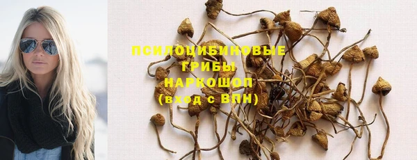 мет Богданович