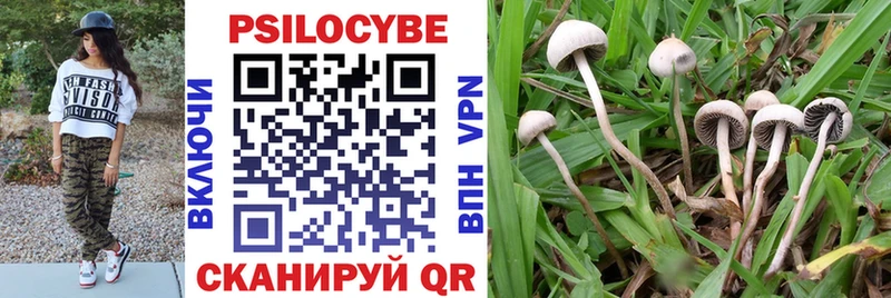Псилоцибиновые грибы Psilocybe  Петропавловск-Камчатский 